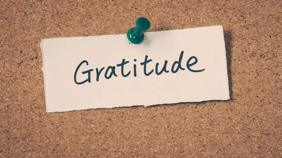 Gratitude as a core value in personal life