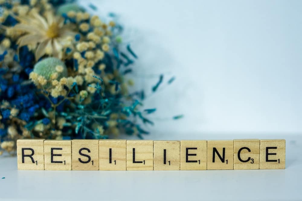 Resilience as a core value in personal life 
