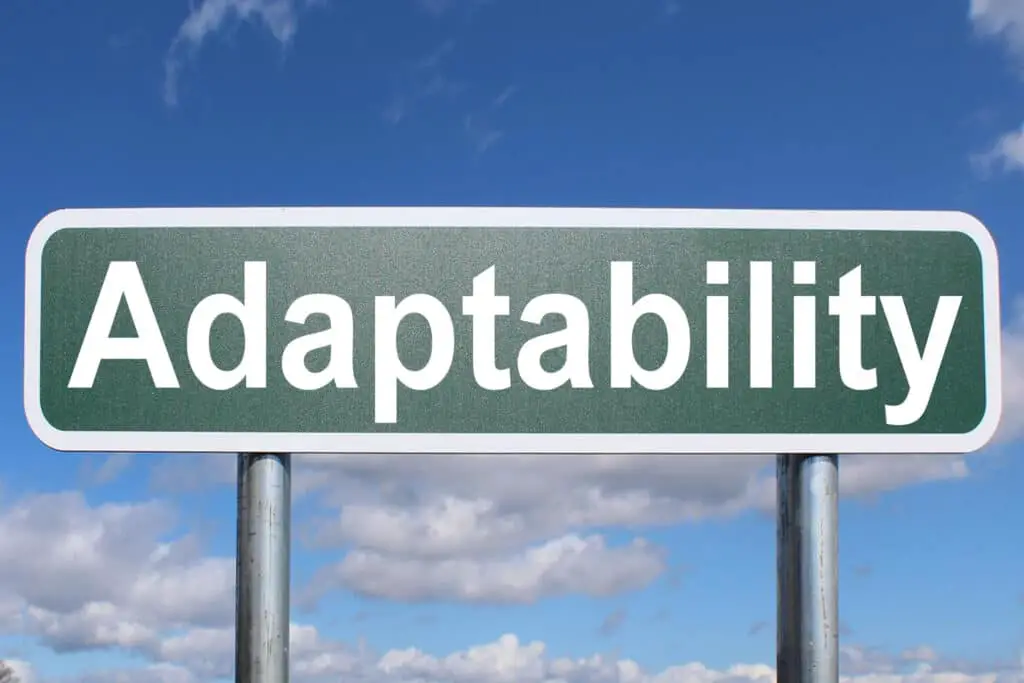 adaptability as a core value in personal life